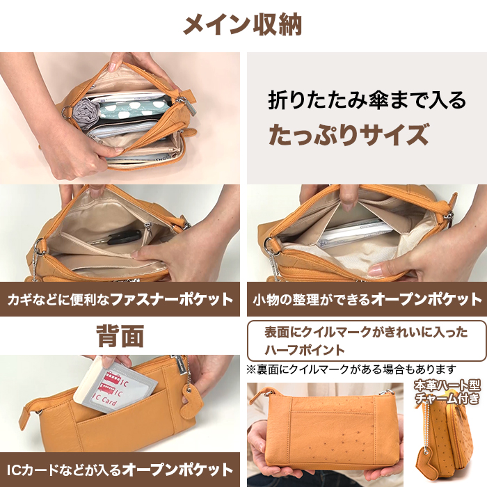 サイゼン 決算企画 オーストリッチ3WAYお財布ポシェット | テレビ