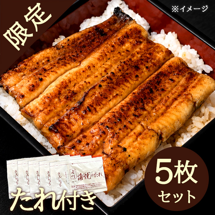 <期間限定>神田明神下 喜川 国産うなぎ蒲焼100g×5枚セット